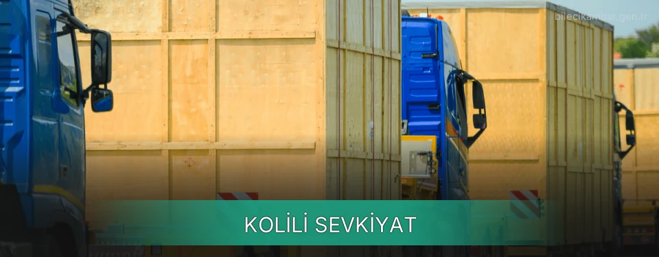 Bilecik Kolili Sevkiyat Ambar Firmaları