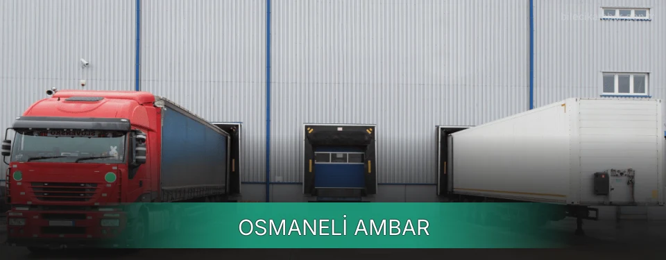 Osmaneli Ambar
