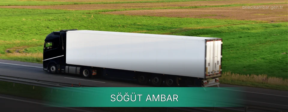 Söğüt Ambar Kargo